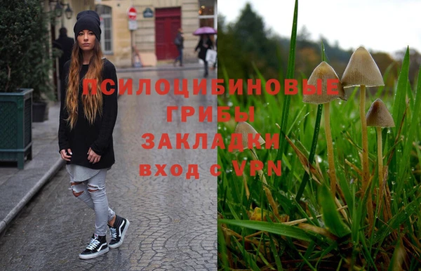 твердый Алексеевка