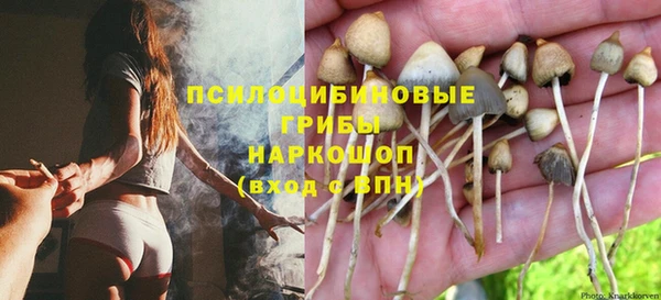 твердый Алексеевка