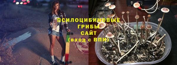 твердый Алексеевка