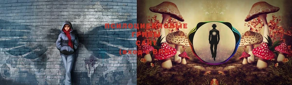 гашишное масло Надым