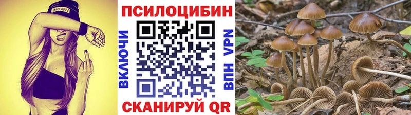 как найти Удачный Галлюциногенные грибы прущие грибы